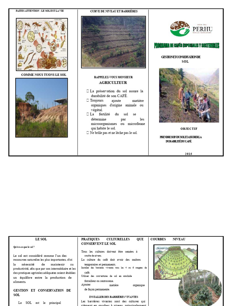 Gestion durable du sol pour le café | PDF | Sol (pédologie) | Agriculture