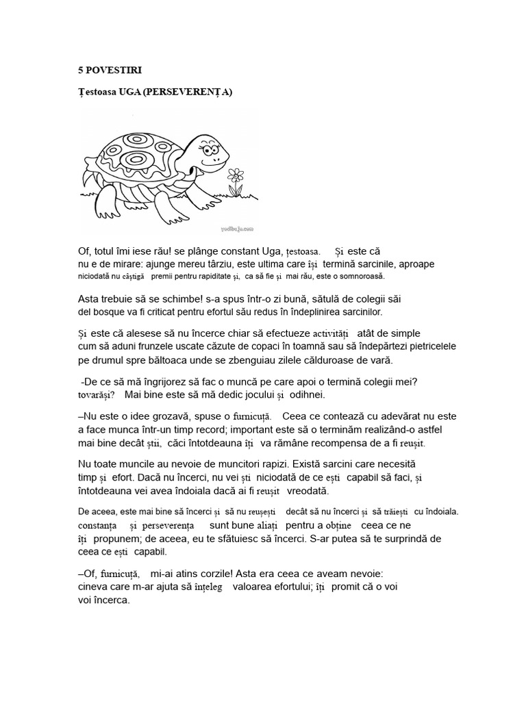 5 POVESTE Bermejo | PDF