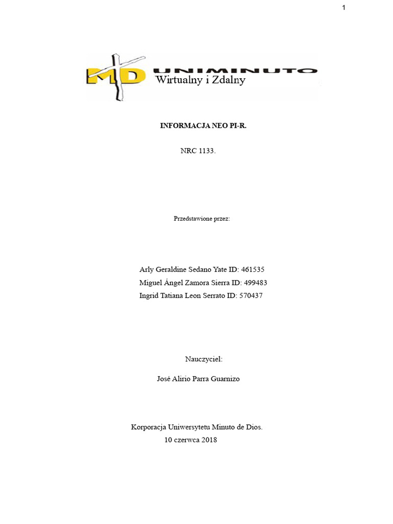 Raport Neo Pi-R | PDF