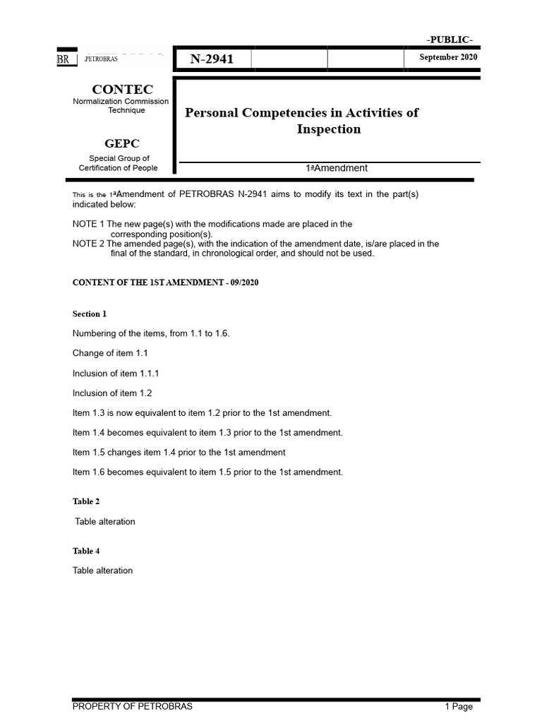Petrobras N-2941 Amendment Overview | PDF | Nondestructive Testing ...