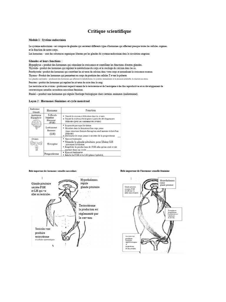Comprendre le système endocrinien et nerveux | PDF | Répertoire ...