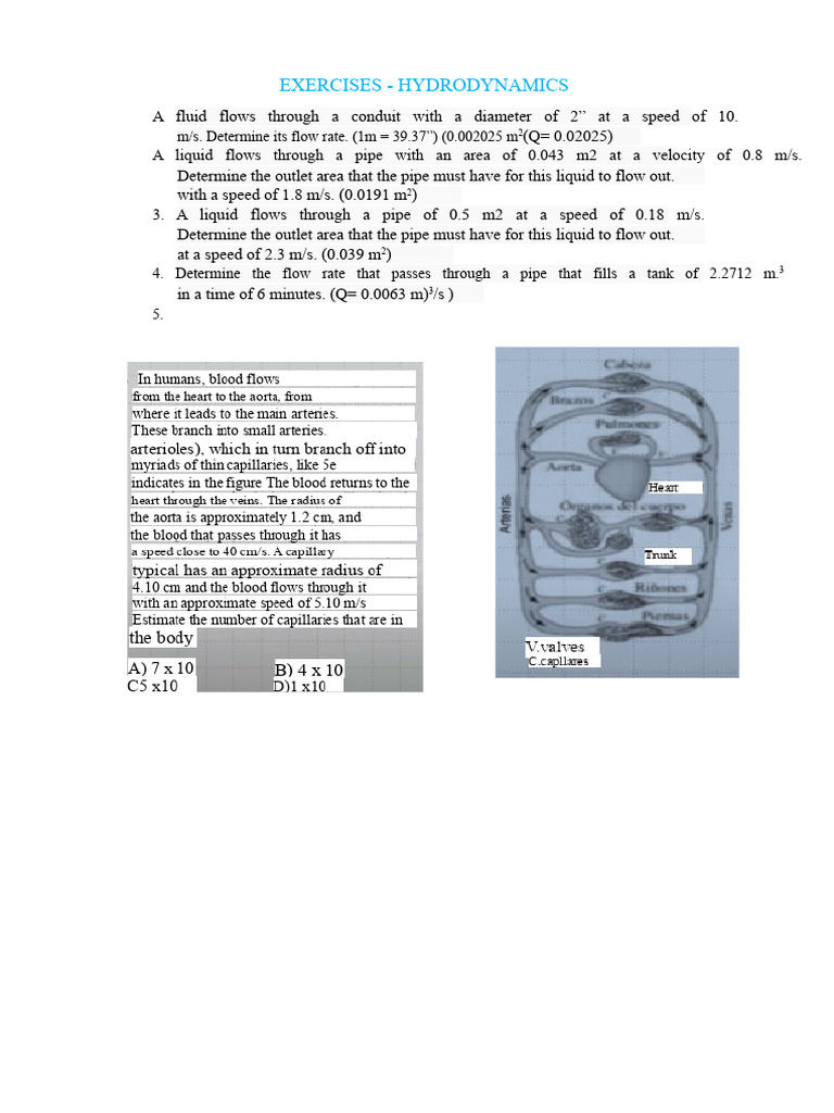 Hydrodynamics Flow Rate Exercises | PDF