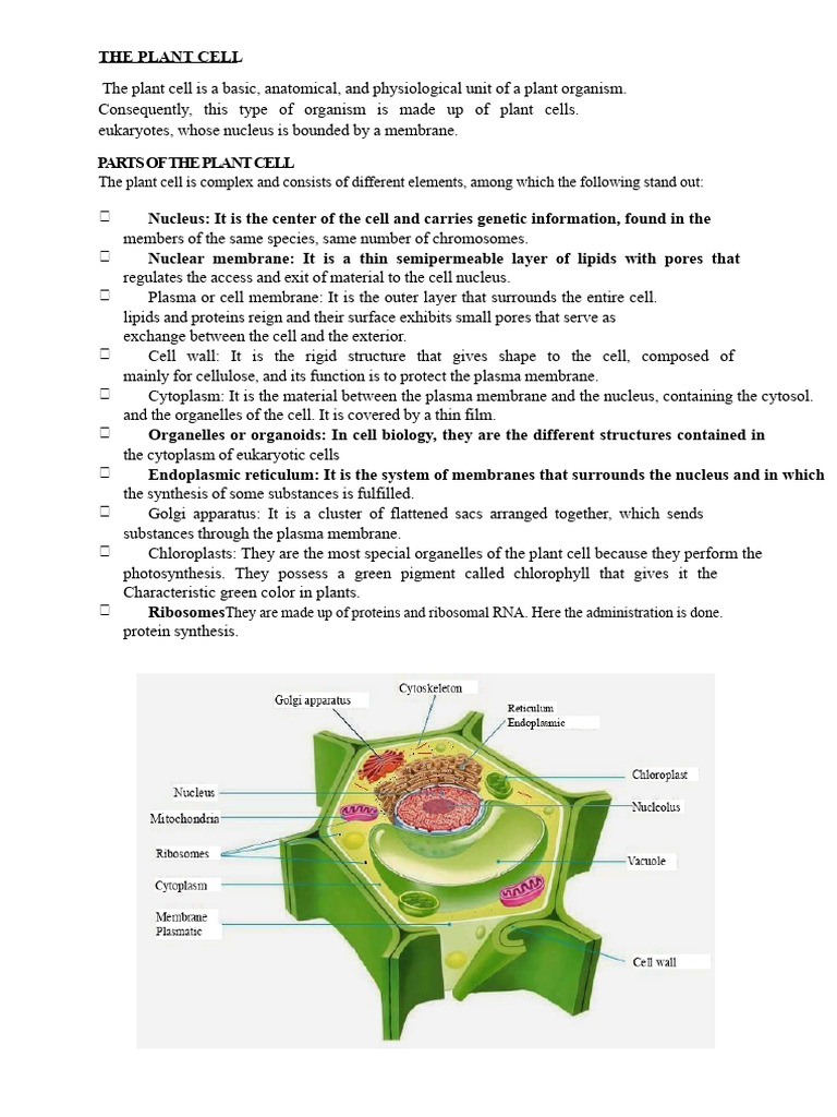 The Plant Cell | PDF