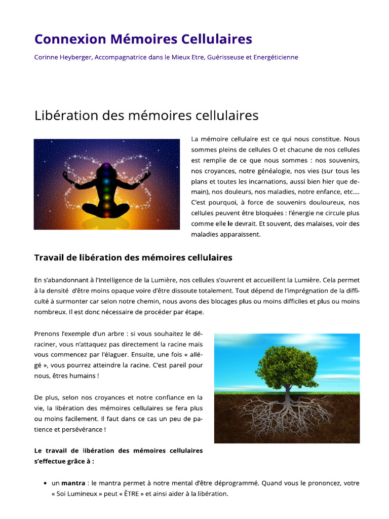 Work On The Liberation of Cellular Memories | PDF