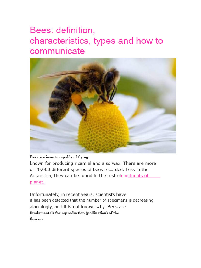 The Bees | PDF | Bees | Honey