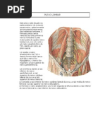 PLEXO LOMBAR