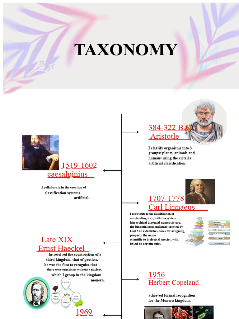 Timeline Taxonomy | PDF