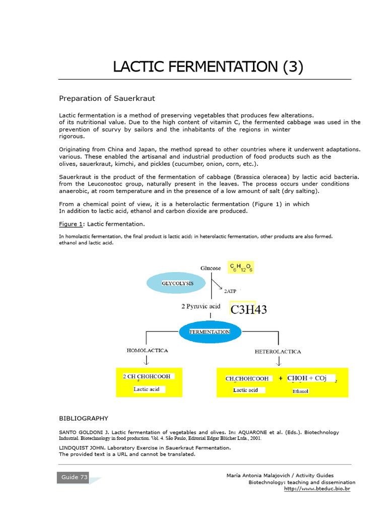 Sauerkraut Preparation via Lactic Fermentation | PDF | Fermentation ...
