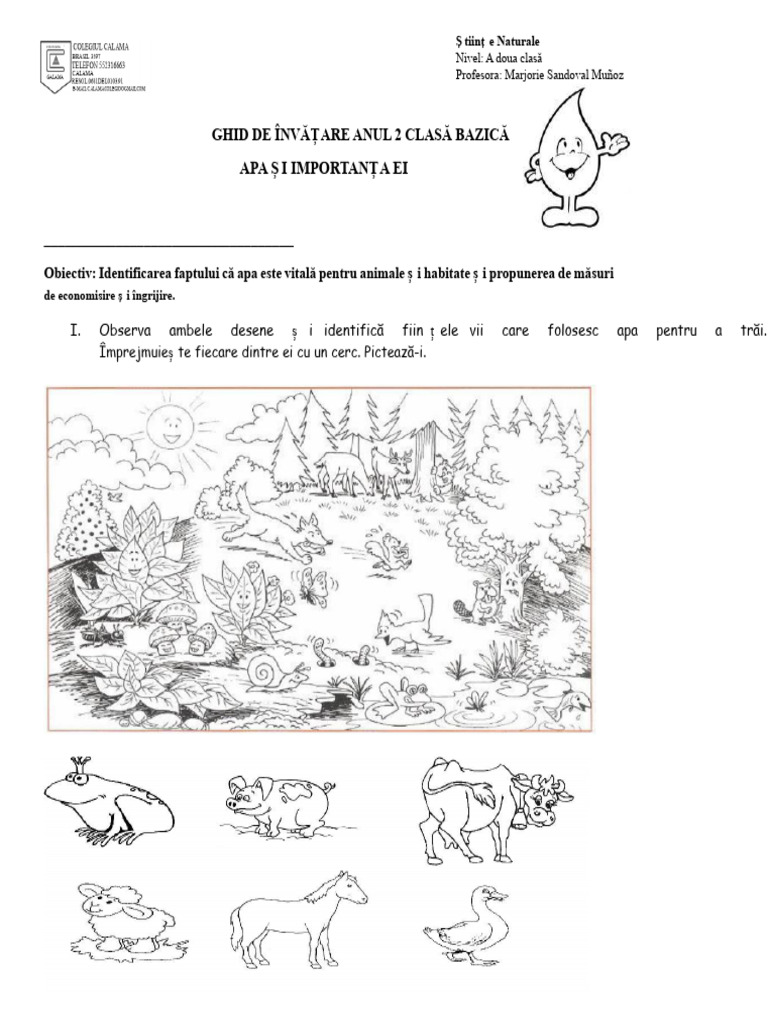 Apa 2 Basic Și Importanța Sa | PDF