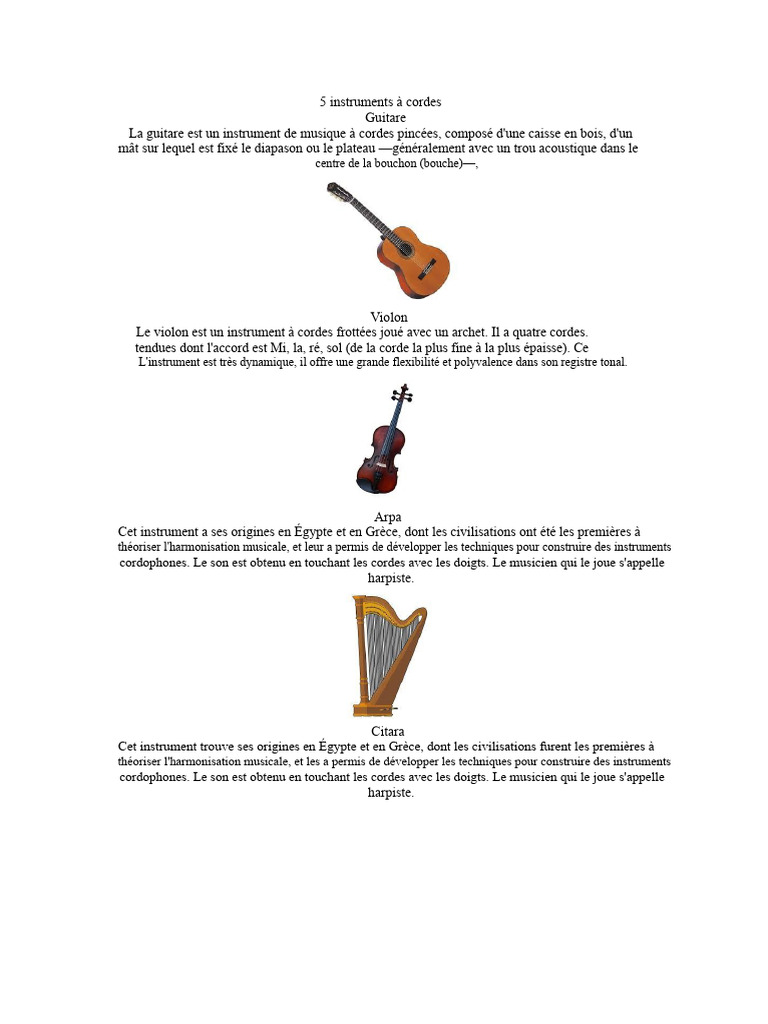 5 instruments à cordes essentiels | PDF | Instruments à corde | Accordéon