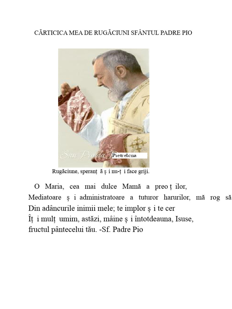 Carnetul Meu de Rugăciuni La Sfântul Padre Pio | PDF