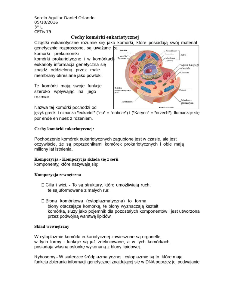 cechy-kom-rki-eukariotycznej-i-prokariotycznej-pdf