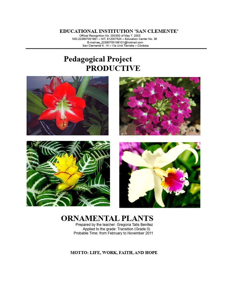 Pedagogical Project Gregorio Ornamental Plants | PDF | Plants | Agriculture