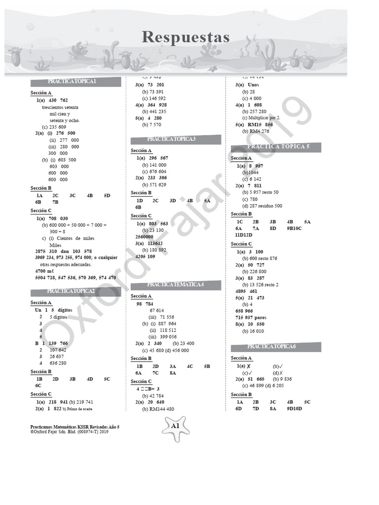 Respuestas de Matemáticas KSSR Año 5 | PDF | Matemáticas