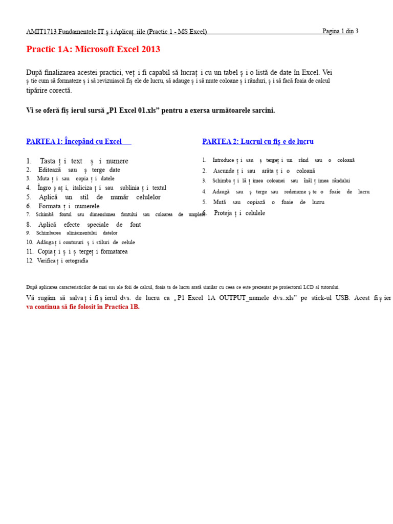 Practic 1 MS Excel | PDF