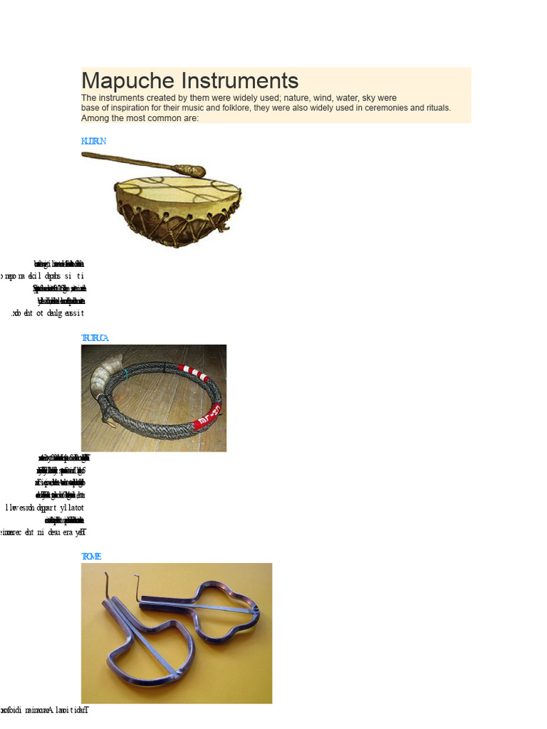 Mapuche Musical Instruments and Rituals | PDF