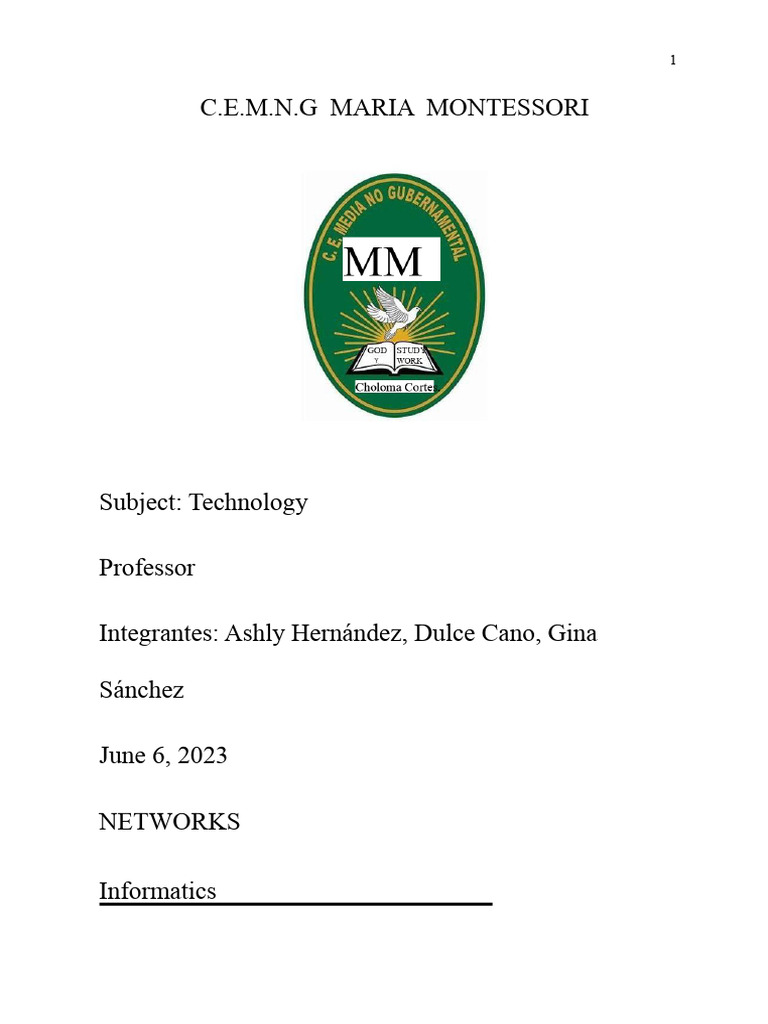 Report On Types of Networks | PDF | Computer Network | Network Topology