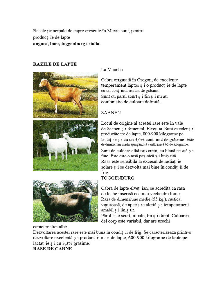 Rasele Principale de Capre Crescute În Mexic Sunt | PDF
