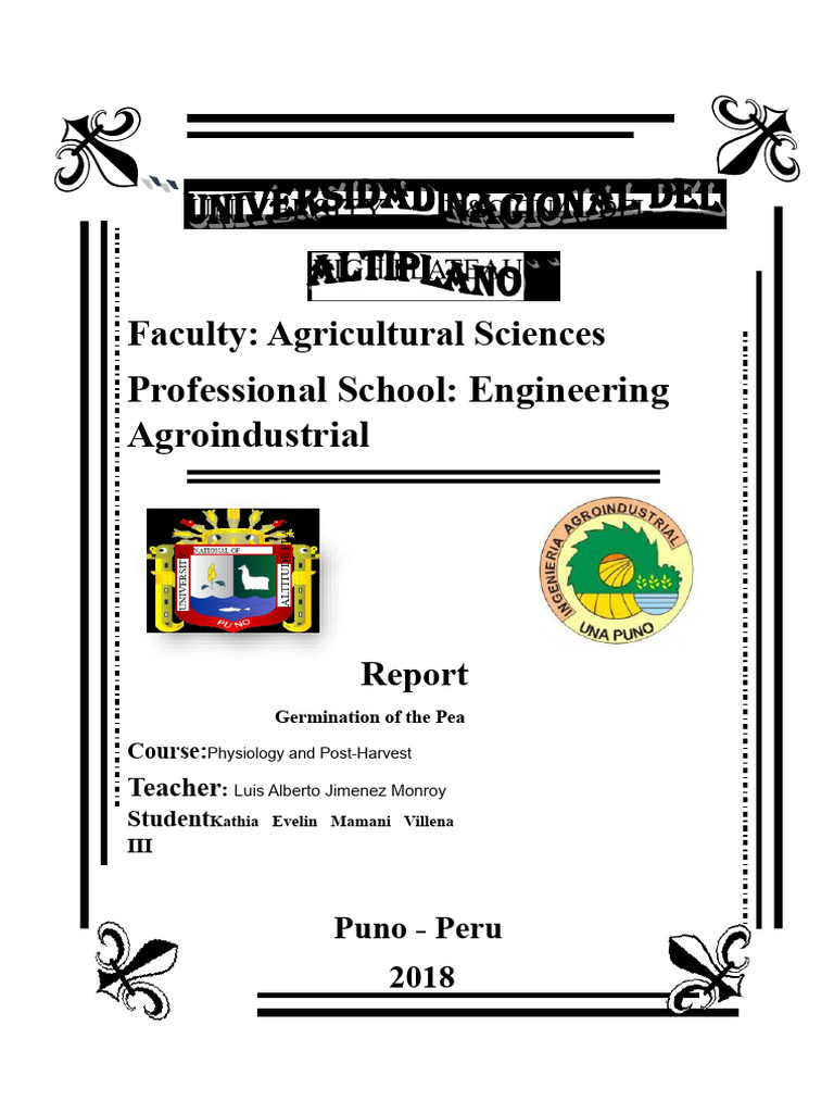 Pea Seed Germination Study Report | PDF | Seedling | Seed