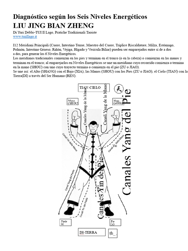 amtc09-diagn-stico-seg-n-los-seis-niveles-energ-ticos-pdf-yin-y