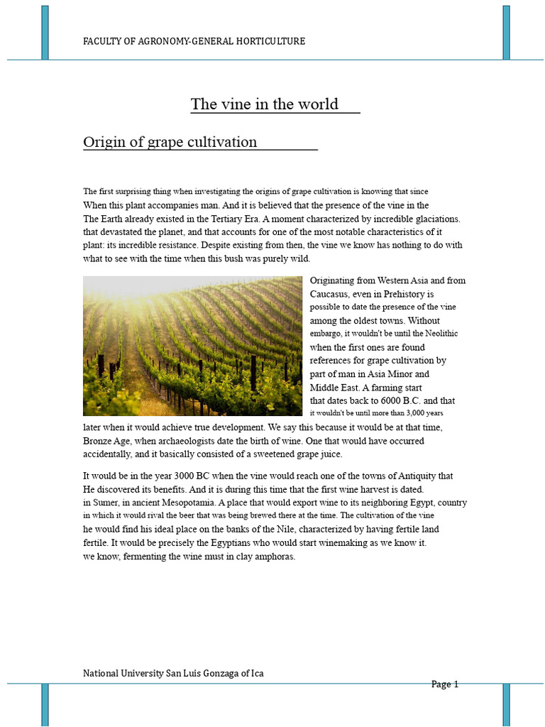 History and Impact of Grape Cultivation | PDF | Wine | Peru