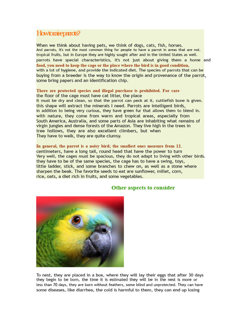 Essential Parrot Care Guide | PDF | Foods | Vegetables