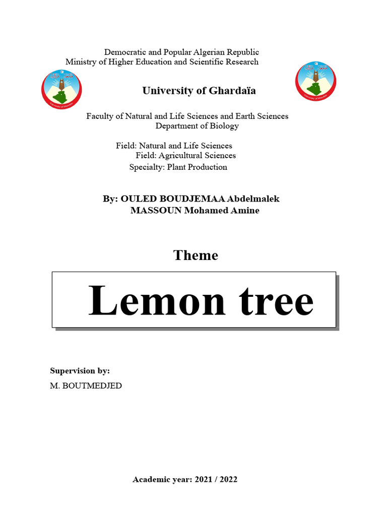 Lemon Tree | PDF | Lemon | Leaf