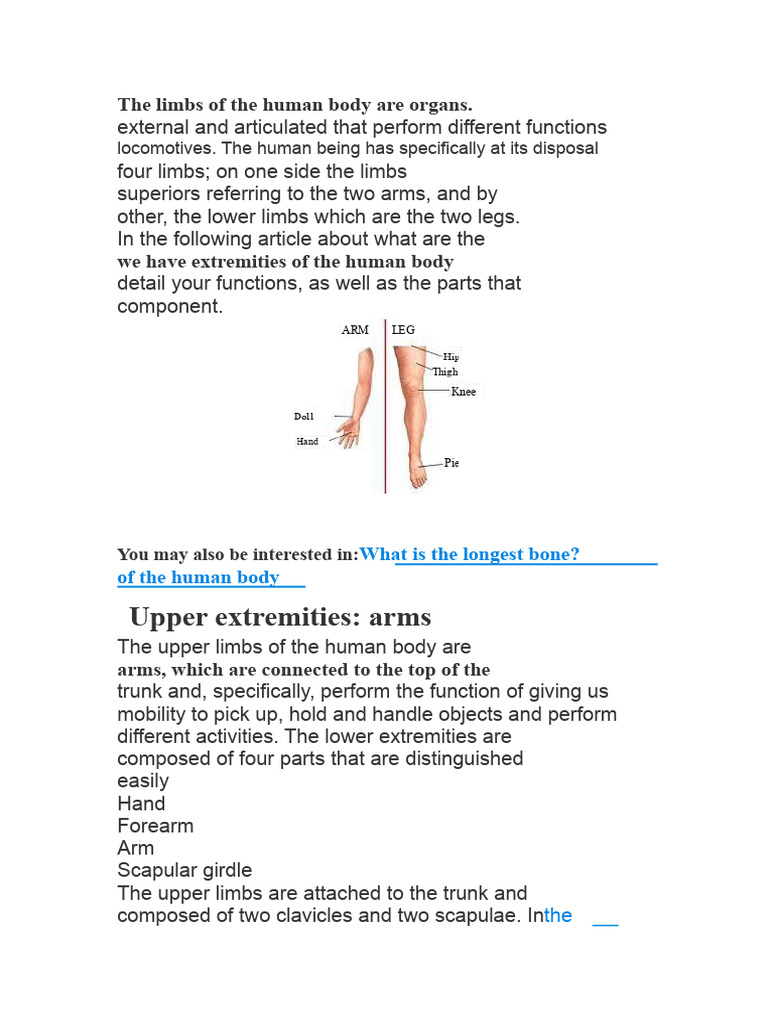 Human Body Extremities Explained | PDF
