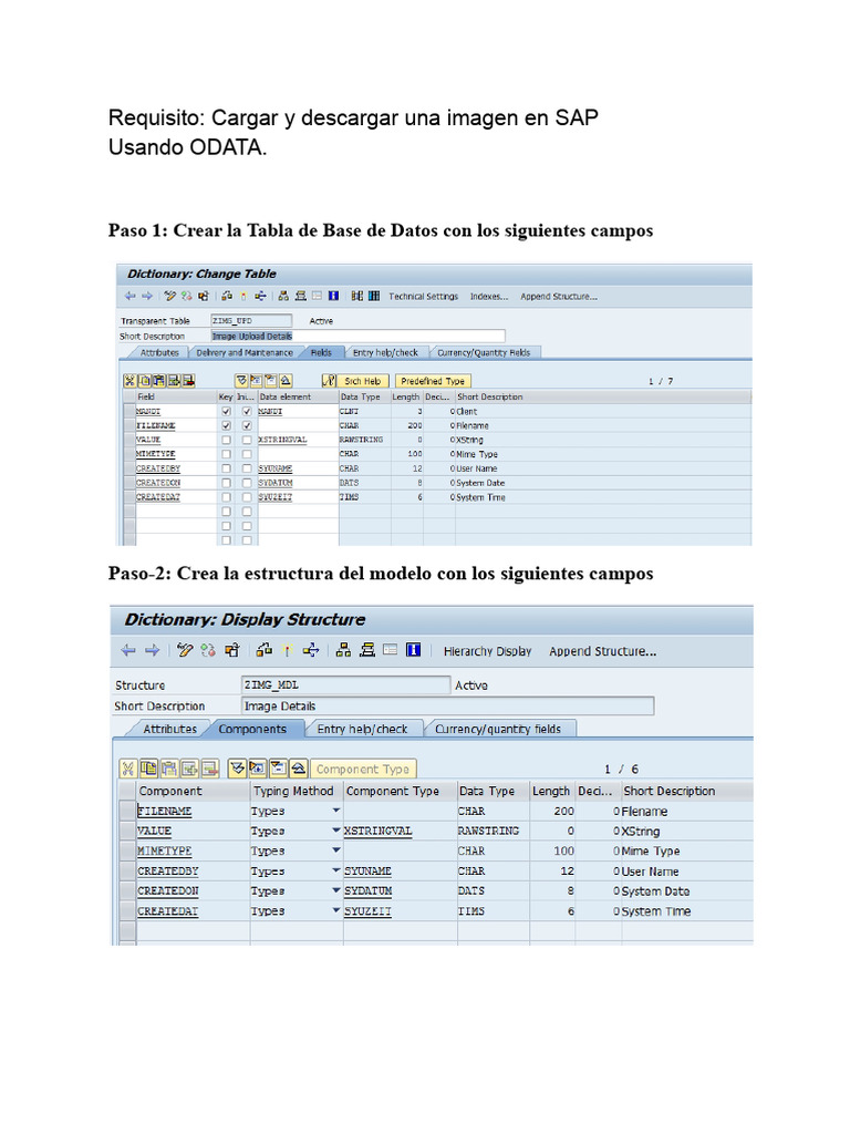 Cargar y Descargar Imágenes en SAP ODATA | PDF | Bases de datos ...