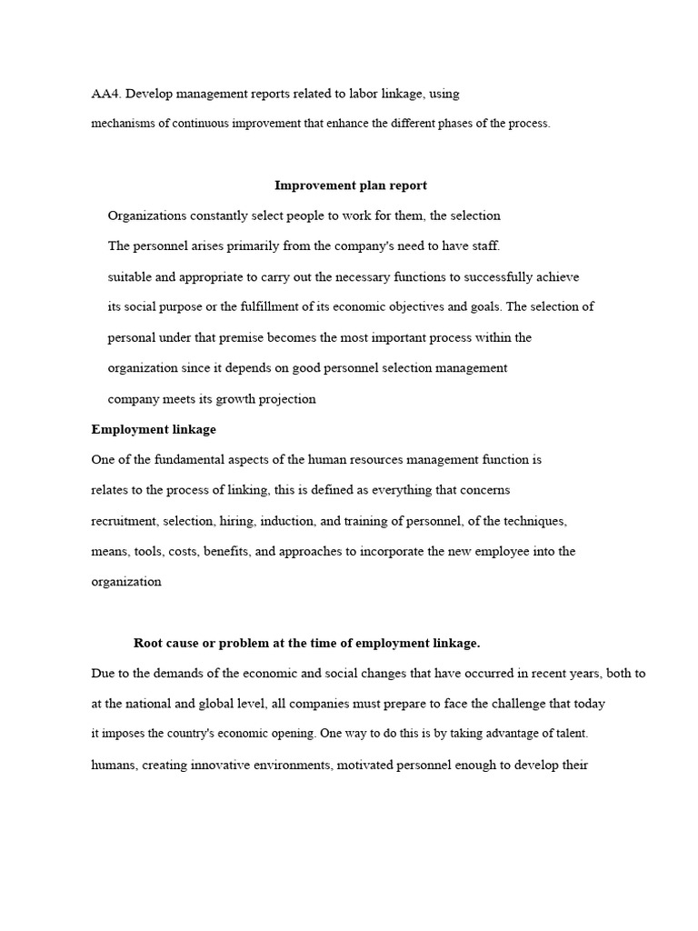 Improvement Plan Report | PDF | Recruitment | Employment