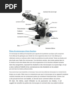 Fiche De Travail Sur Les Parties D'un Microscope Et Leurs Fonctions