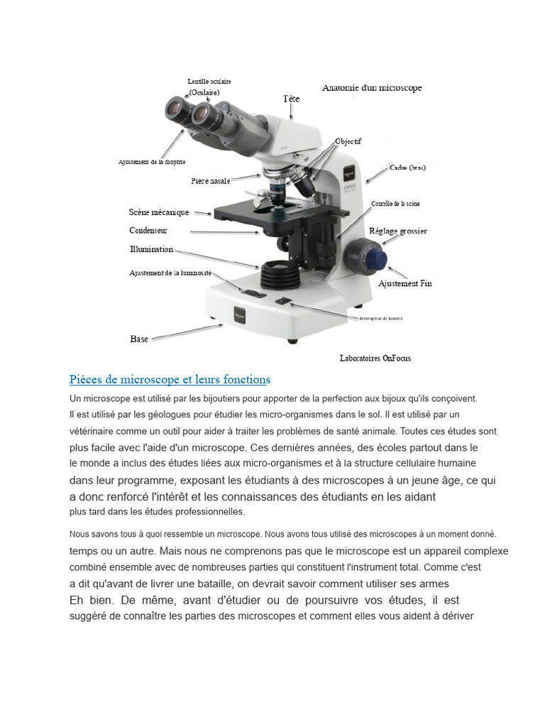 Parties et fonctions du microscope | PDF | Microscope | Objectif ...