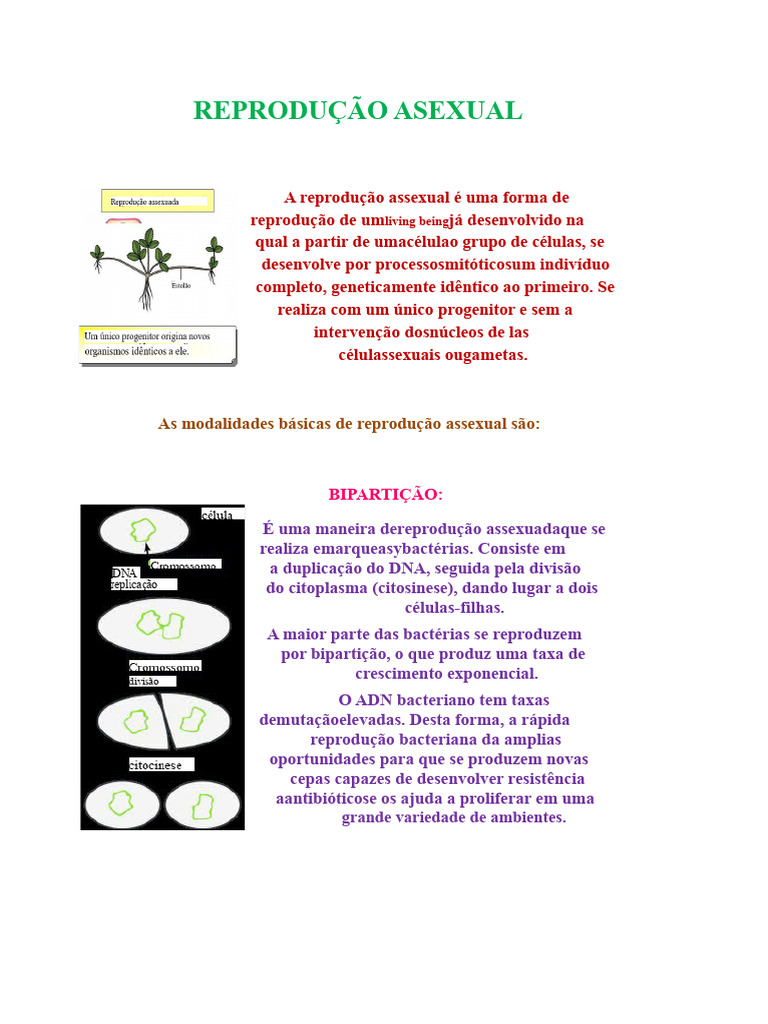 Tipos de Reprodução Assexual Explicados | PDF | Reprodução | Bactérias