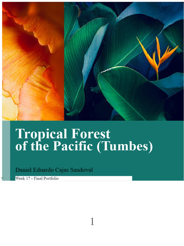 Pacific Tropical Forest Ecosystem Overview | PDF | Habitat Destruction ...