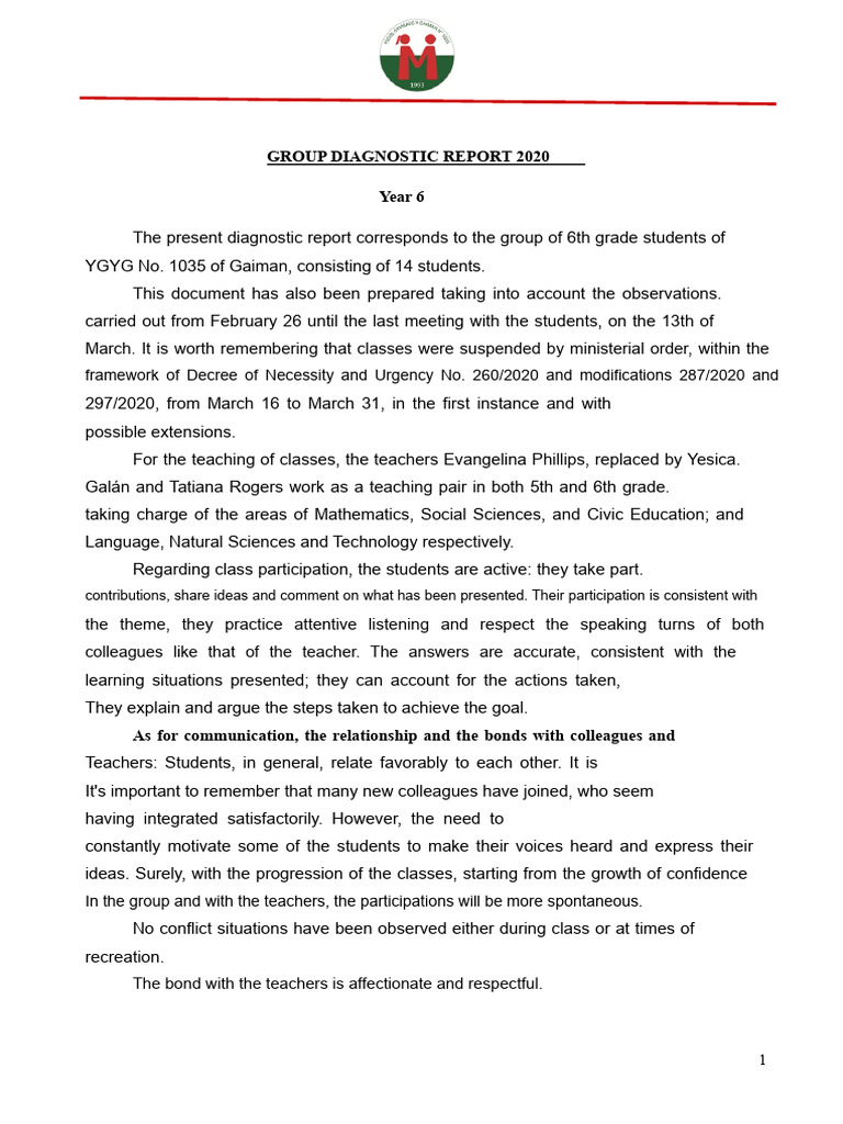 2020 Year 6 Group Diagnostic Report | PDF | Reading Comprehension ...