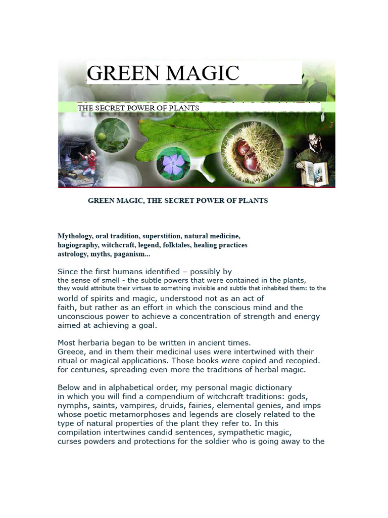 Secrets of Green Magic and Plants | PDF | Garlic | Onion