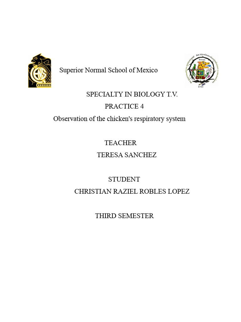 PRACTICE Chicken | PDF | Chicken | Biology