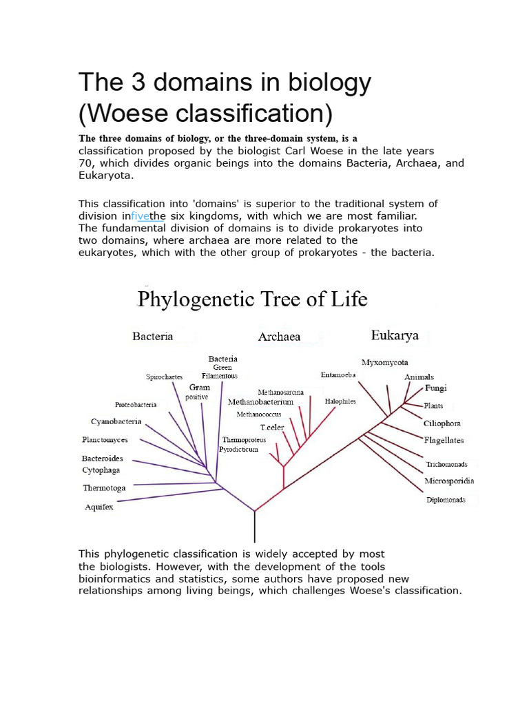 Understanding the Three Domains of Life | PDF | Archaea | Bacteria