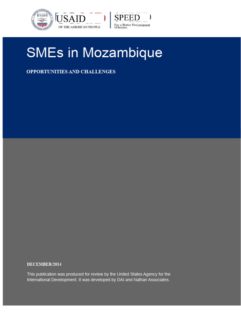 PME Report in Mozambique Opportunities and Challenges | PDF | Taxes ...