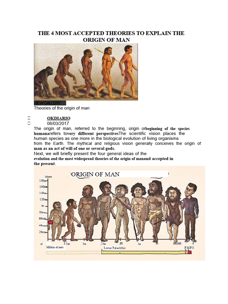 Theories on Human Origin Explained | PDF | Evolution | Heredity