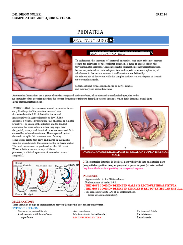 Anorectal Malformations in Pediatrics | PDF | Rectum | Gastrointestinal ...