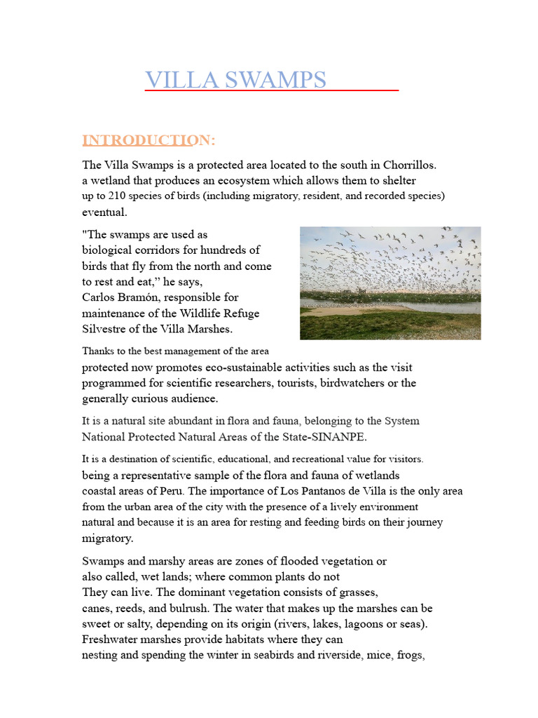 Villa Swamps | PDF | Marsh | Wetland