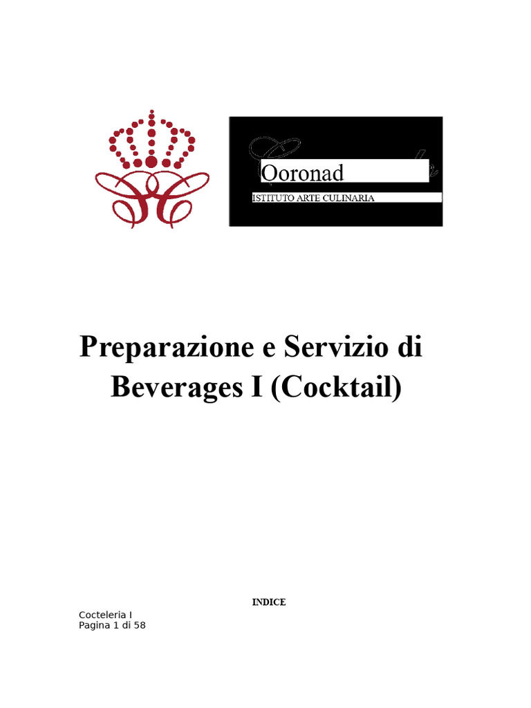 Programma Di Cocktail | PDF