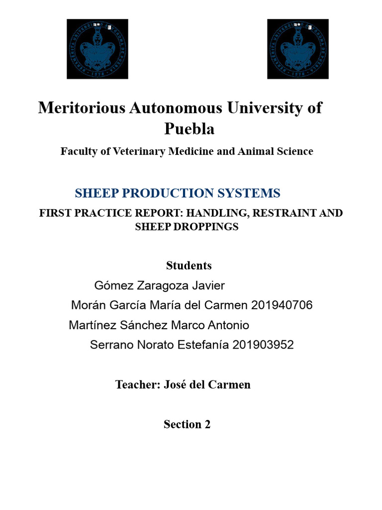 First Report On Handling, Restraint, and Culling of Sheep | PDF | Sheep ...