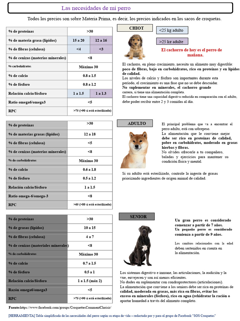 necesidades-nutricionales-del-perro-pdf-perros-nutrici-n