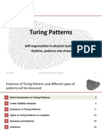 Turing Patterns
