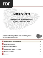 Turing Patterns