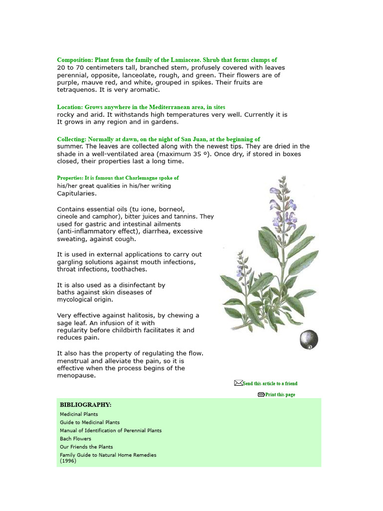 SAGE | PDF