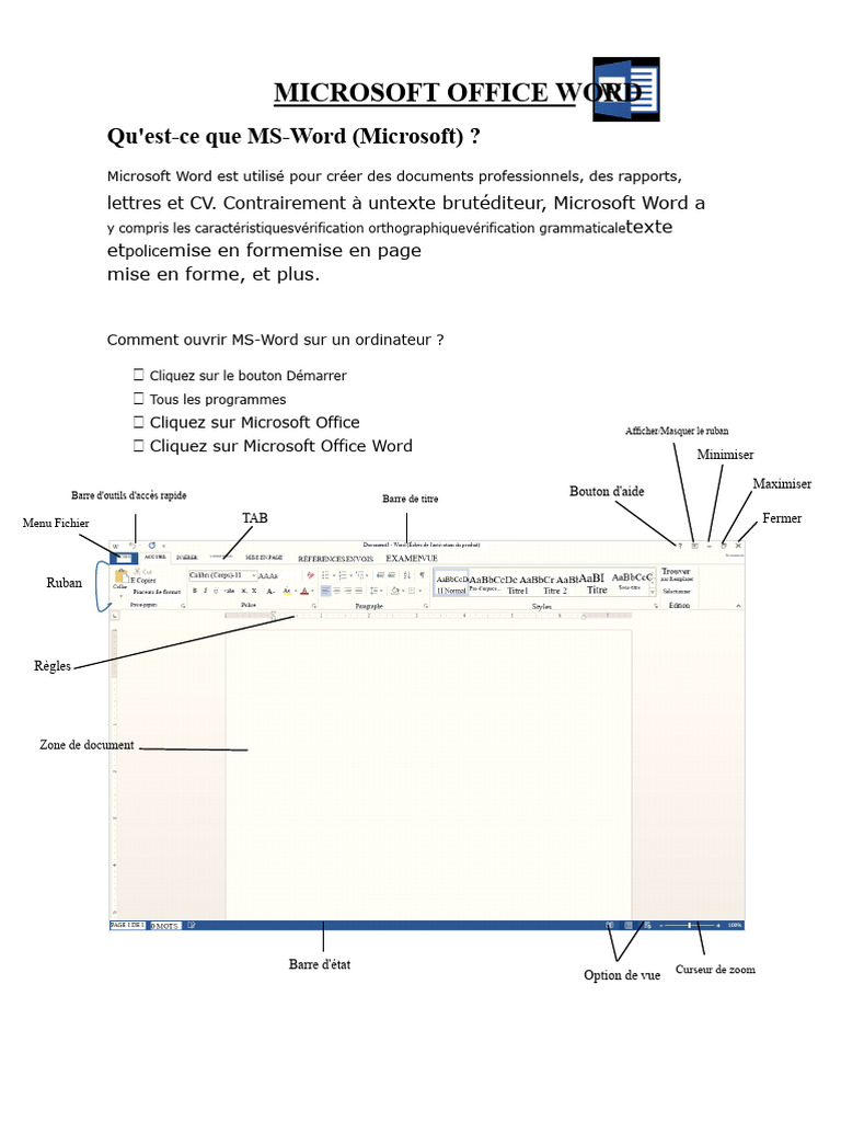 Guide d'utilisation de Microsoft Word | PDF | Microsoft Word | Informatique