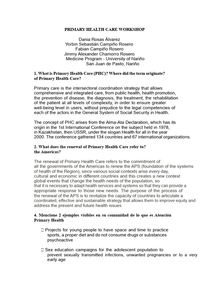 Primary Health Care Workshop | PDF
